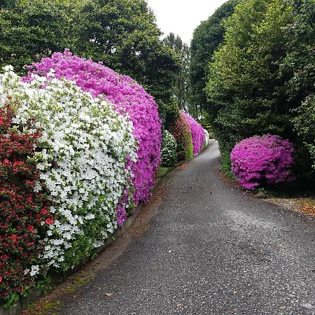 Bmp Gioiosa 2 Giardino Vista Maggiore Apartmán Belgirate