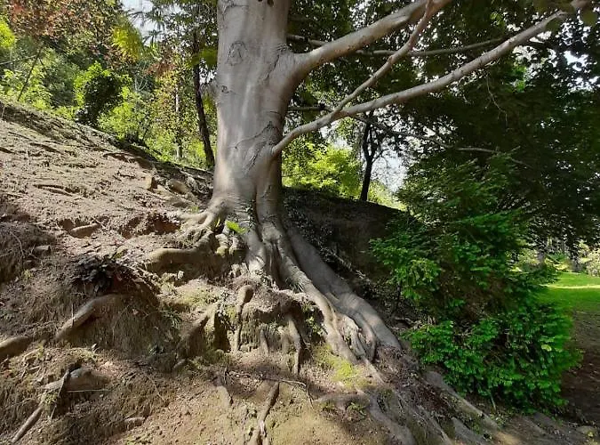 Bmp Gioiosa 2 Giardino Vista Maggiore * 벨지라테