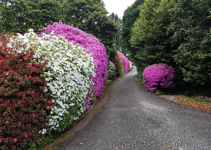 Bmp Gioiosa 2 Giardino Vista Maggiore Lägenhet Belgirate