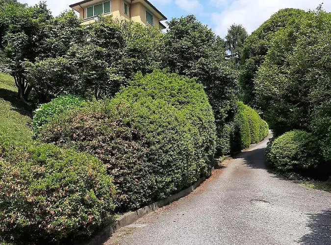 Bmp Gioiosa 2 Giardino Vista Maggiore 벨지라테