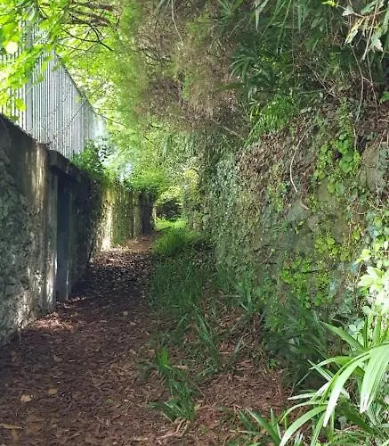 Bmp Gioiosa 2 Giardino Vista Maggiore 아파트 *